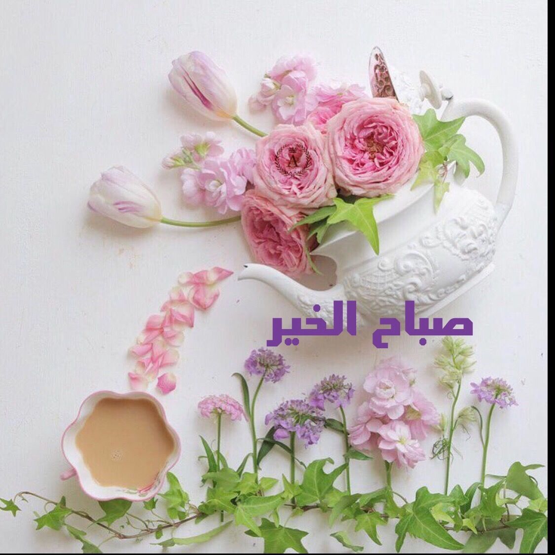 صور بها صباح الخير - اجمل الصور الصباحيه للفيس 4192 3