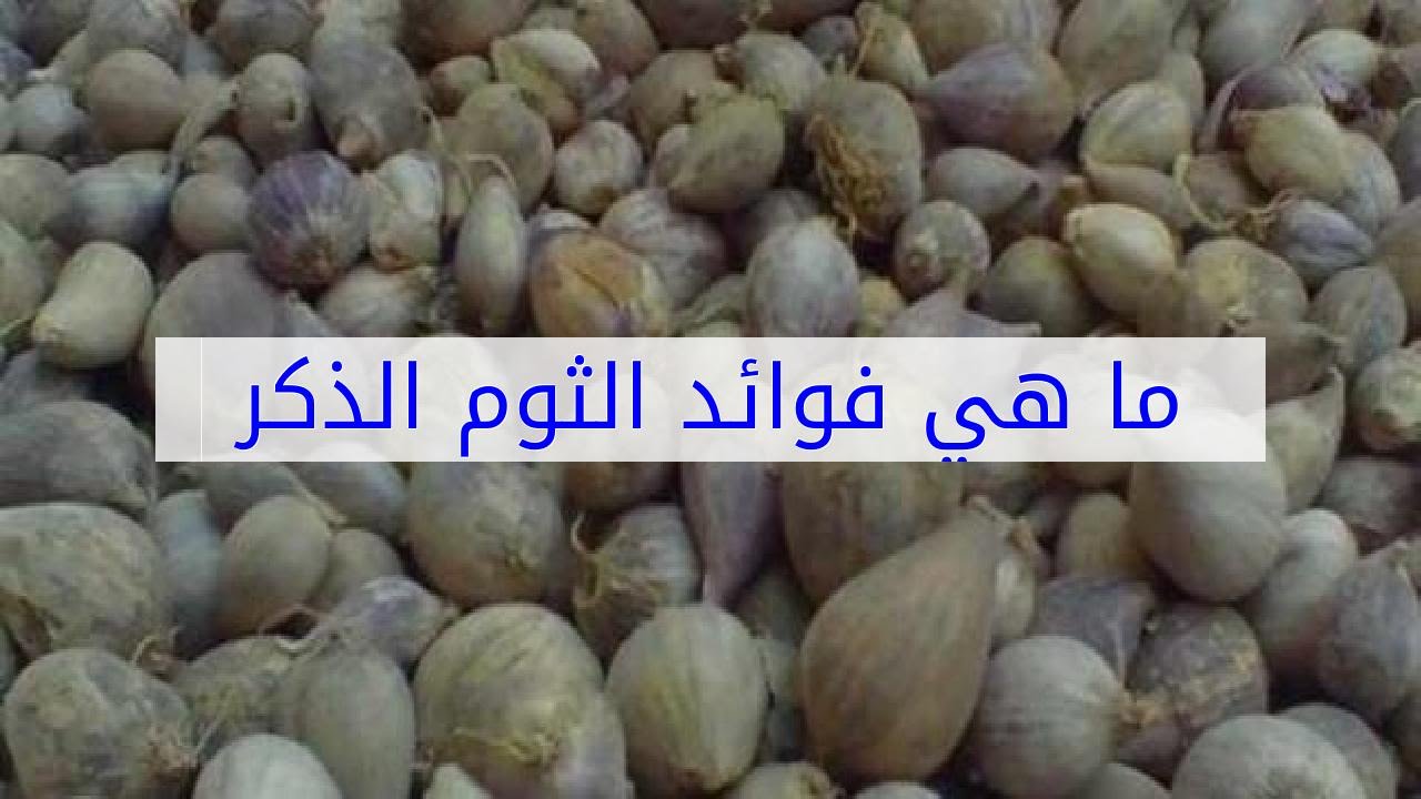 فوائد الثوم الذكر اليمني - الثوم اليمنى ومعجزة فى العلاج 6127 3