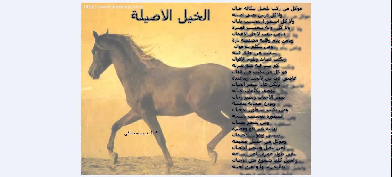 شعر عن الخيل - اروع القصايد الشعريه عن الخيل 4326