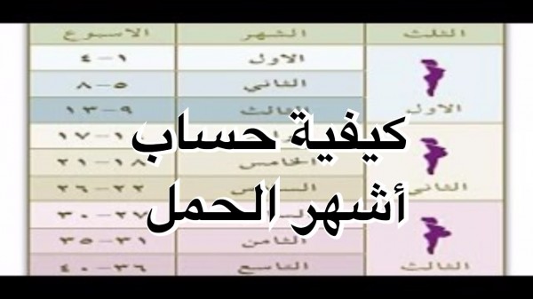 كيف احسب بداية الحمل - كيفيه معرفه يوم الولاده 2744 2