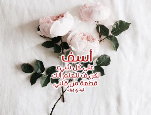 خاطرة اعتذار للحبيب 647 9