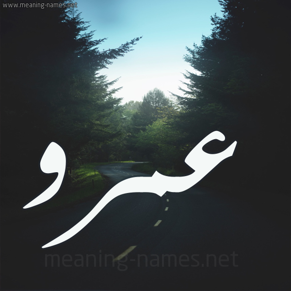 اسم عمرو بالصور 972