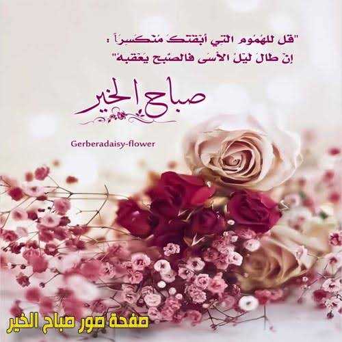 صور صباحية معبرة 676 4