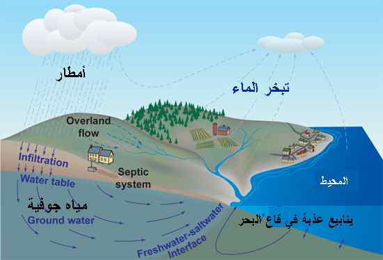 دورة الماء في الطبيعة - مراحل حركة المياة على الارض 1546 2