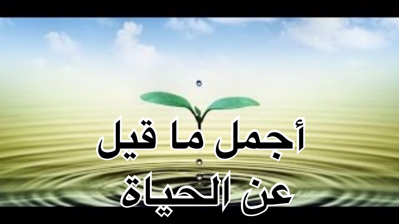 كلام واقوال عن الحياة - خد كلمه من الحياه تعطيك الحياه 6009 7