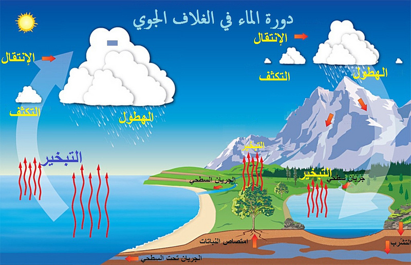 دورة حياة الماء - مراحل المياه الطبيعيه 2702 2