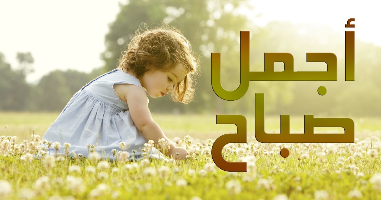 كلام لصباح الخير - عبارات صباحيه جميله 4225 8