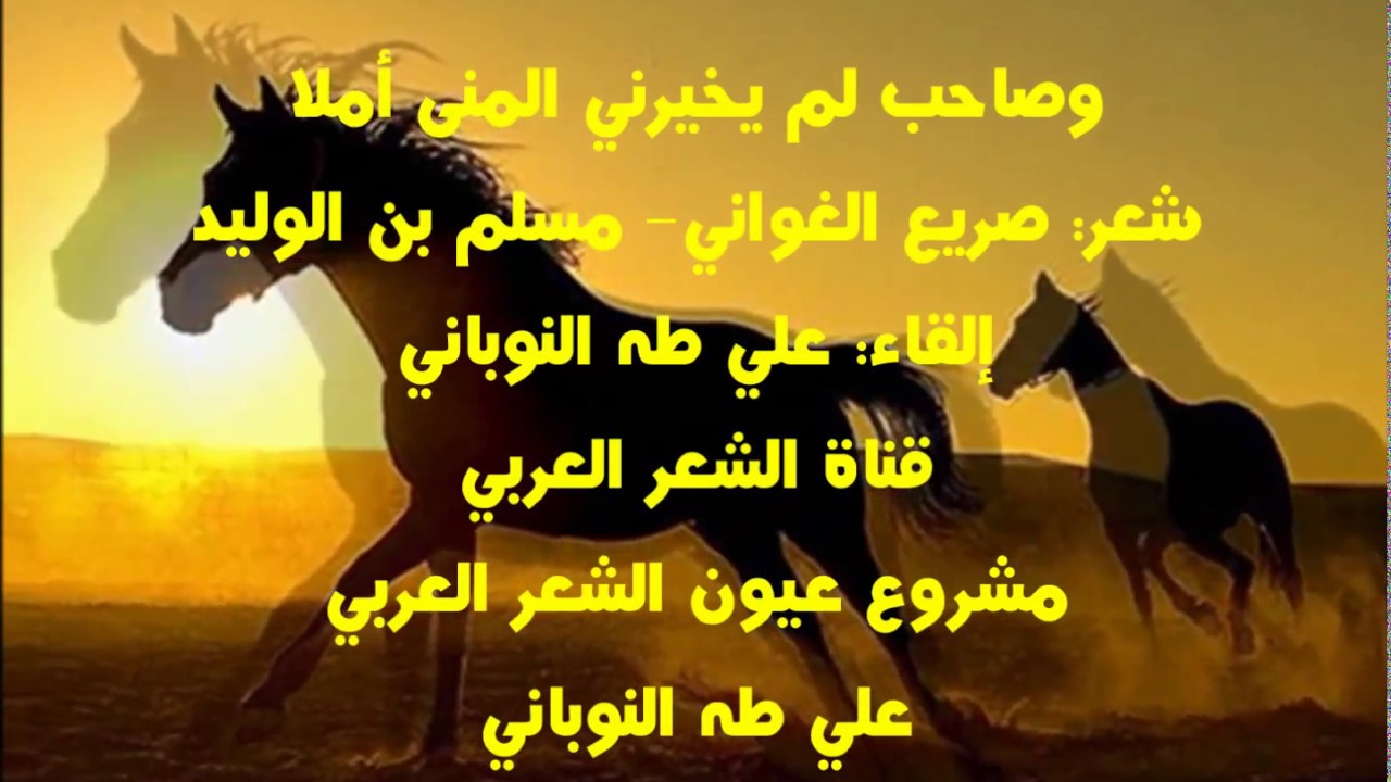 شعر عن صداقة - هو رفيق دربي 5144 11