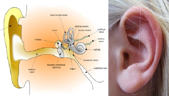 علاج الاذن المسدودة بالماء , علاج طبيعى لانسداد الاذن