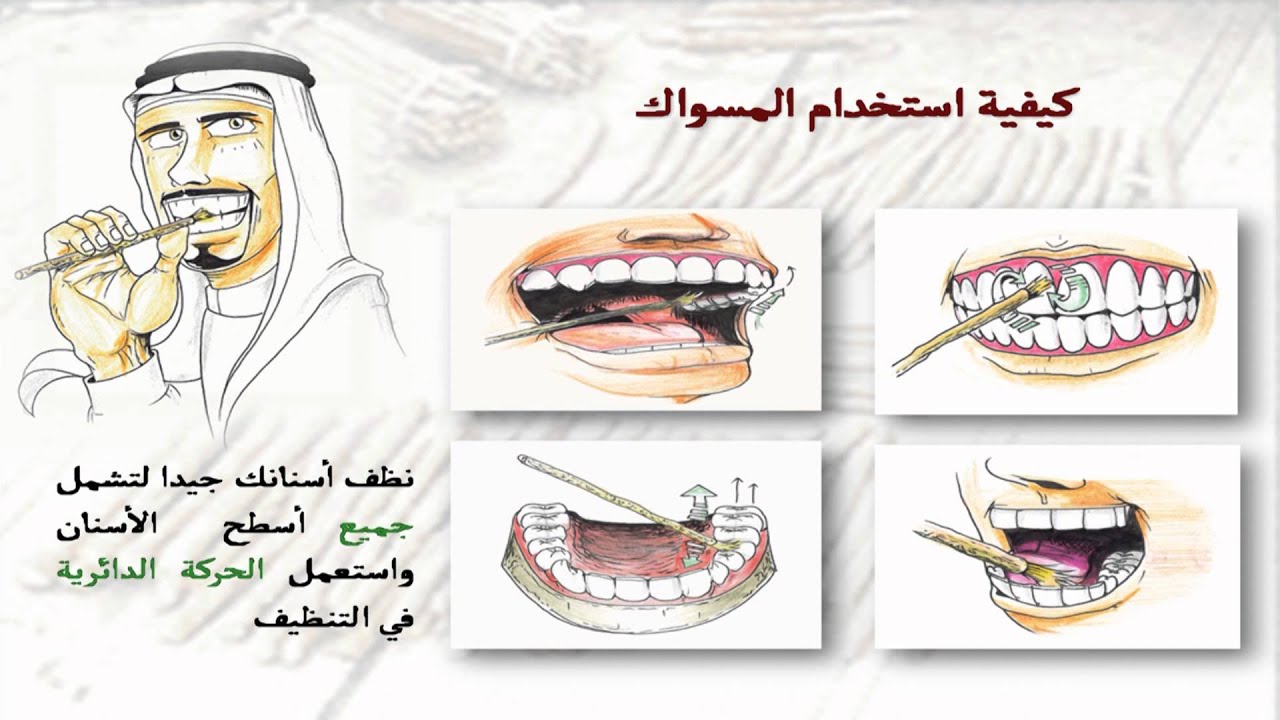 كيفية استعمال السواك - السواك وطرق استخدامه العديدة 5814 3