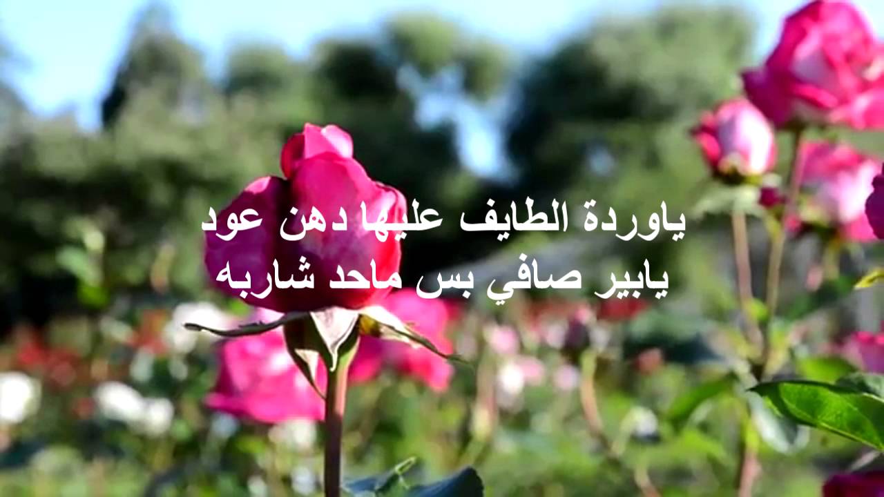 حكم عن الورود - رسائل من الورود 5220