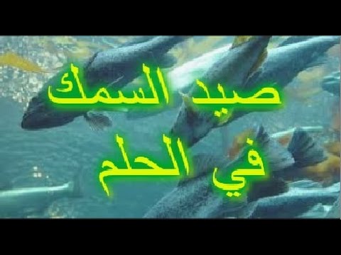 تفسير حلم السمك المطبوخ , معني رؤيه السمك المطبوخ في المنام