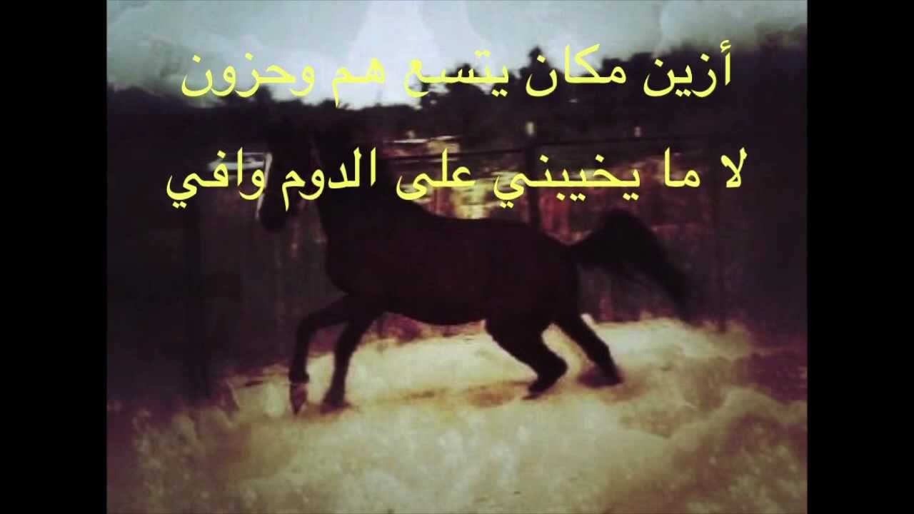 شعر عن الخيل - اروع القصايد الشعريه عن الخيل 4326 1