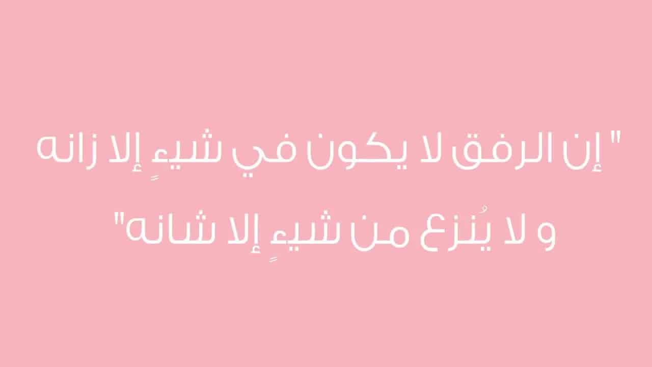 موضوع عن الرفق قصير جدا , احمل كلام عن الرفق