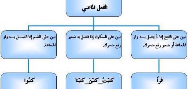 حالات بناء الفعل الماضي - علامه اعراب الفعل الماضي 3912