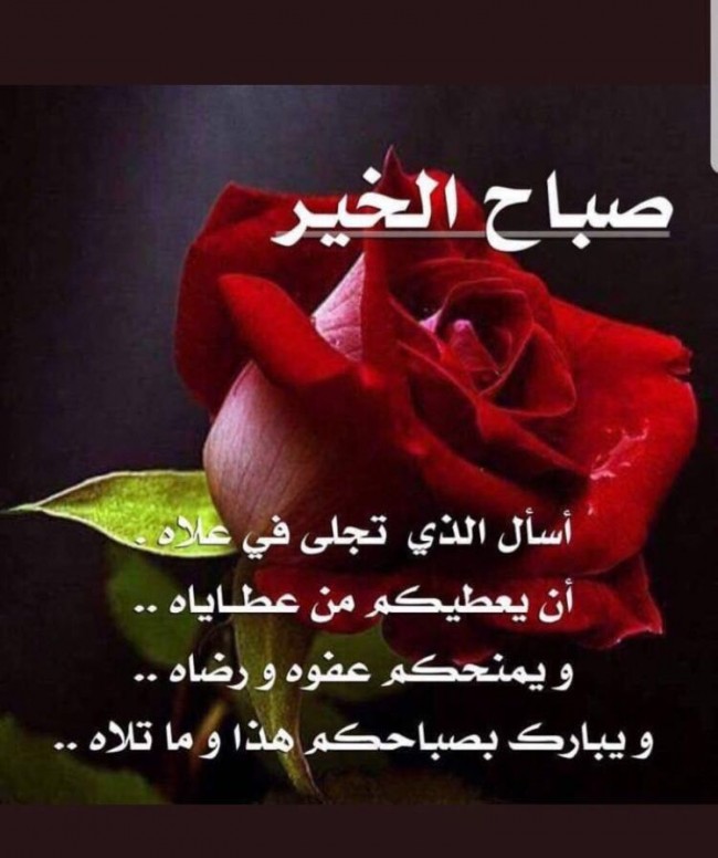 صباح الخير على الجميع 910 1