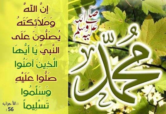 شعر عن المولد النبوي الشريف - مرتجل،اشعار في مدح الرسول 3621 10