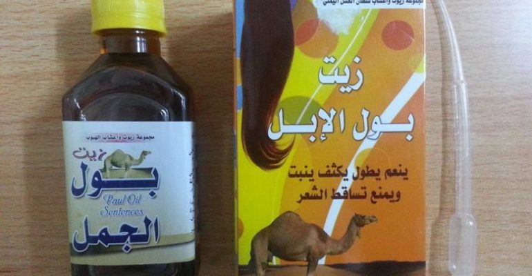 بول الابل للشعر - فوائد بول الابل 3016 1