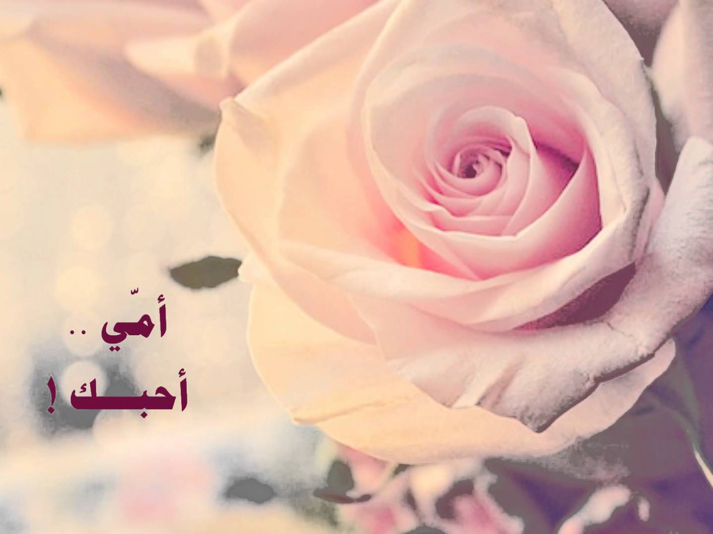 صور مع كلام عن الام , امى الحبيبه بكلمات تناسبها