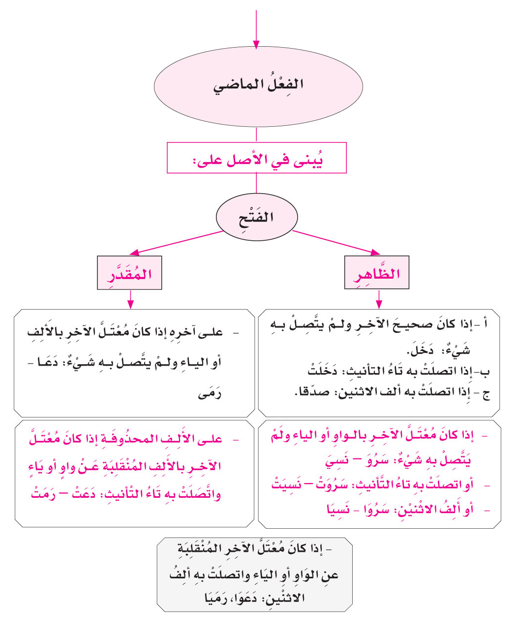 حالات بناء الفعل الماضي - علامه اعراب الفعل الماضي 3912 2