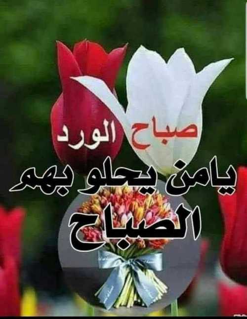 صباح الخير على الجميع 910 1