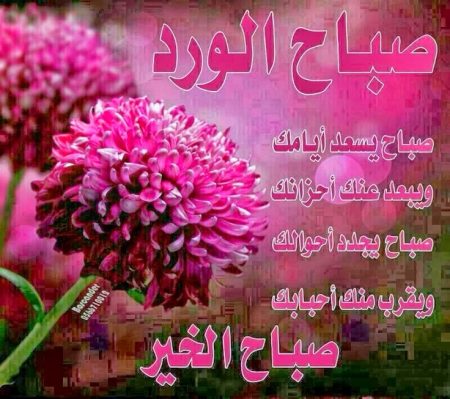 صور صباح الخير رومنسيه - رمزيات تحيات صباحيه 3909 2