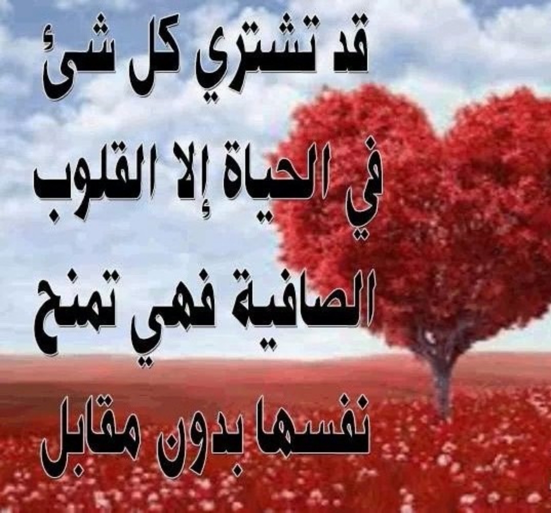 رسائل الحب قصيرة - اقصر رسائل صباحيه محبه 5753 7