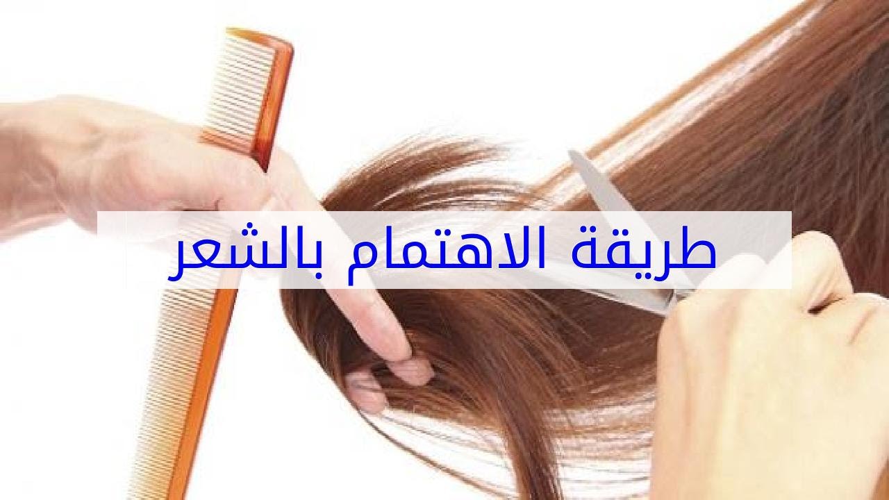 كيفية الاهتمام بالشعر - يهم كل السيدات 5345 1