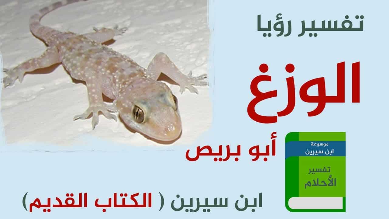 ابو بريص في الحلم - تفسير رؤيه الوزع في الحلم 2940 2