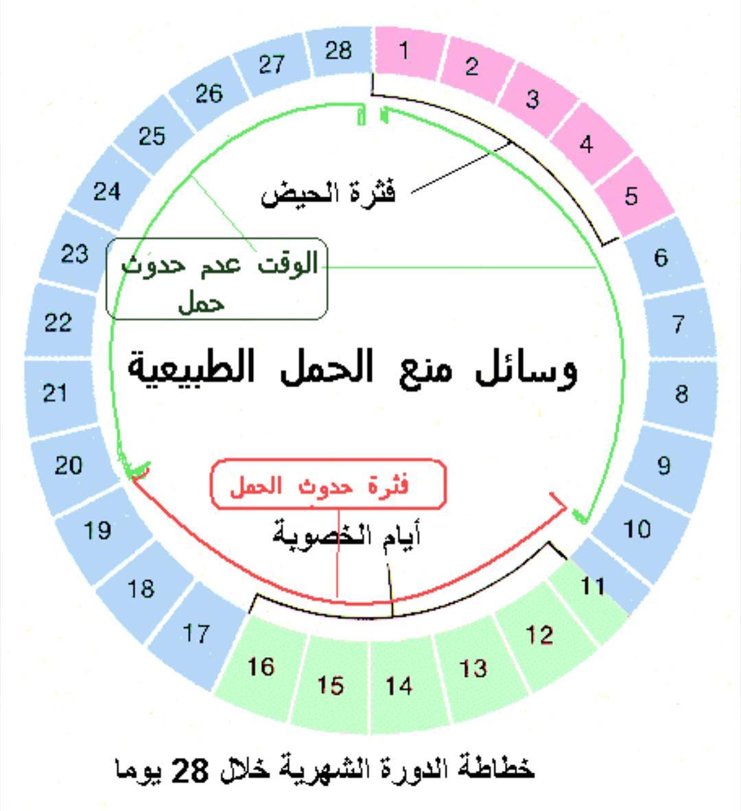 طرق منع الحمل بالحساب - الوسيلة الامنة لمنع الانجاب 2367 1