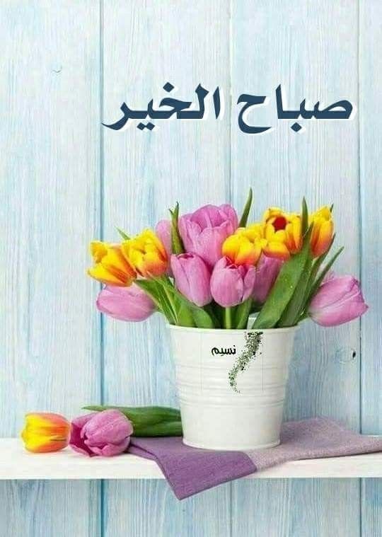 صباح الخير بشكل جديد ومميز - زهور صباح الخير 1151 13