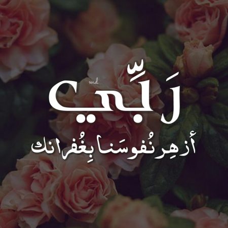 خلفيات جميله للواتس - صور رائعة وخلفيات وهم للواتس اب 2660 8