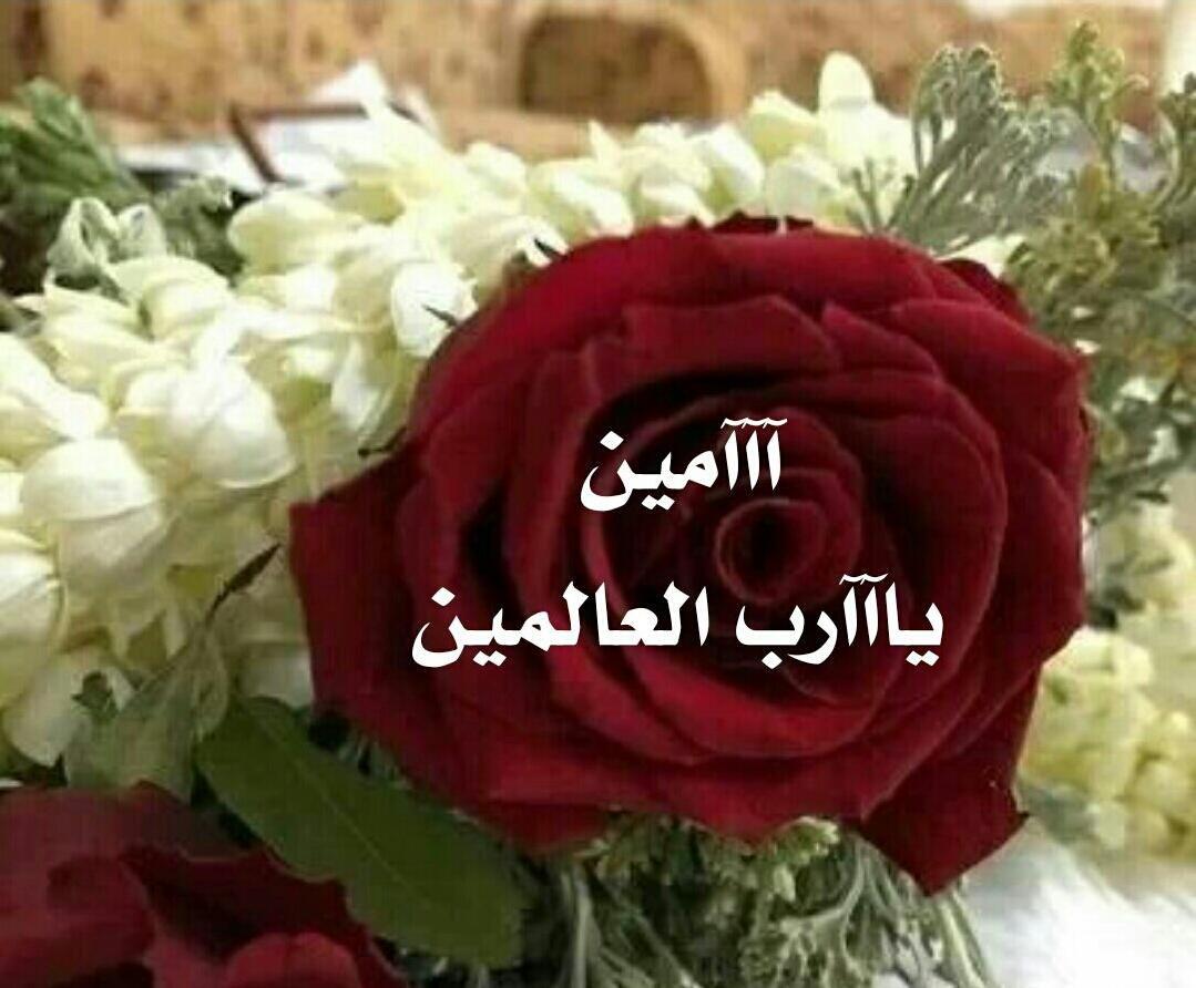 صور اللهم امين،رمزيات و خواطر دينيه 3239 4