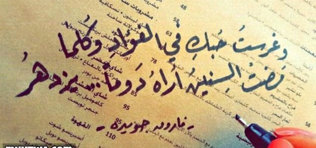 كلمات ناعمة ورقيقة 613 2