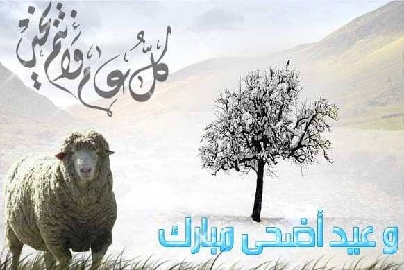 صور عيد الاضحي - بطاقات تهنئه بعيد الاضحي 3883 3