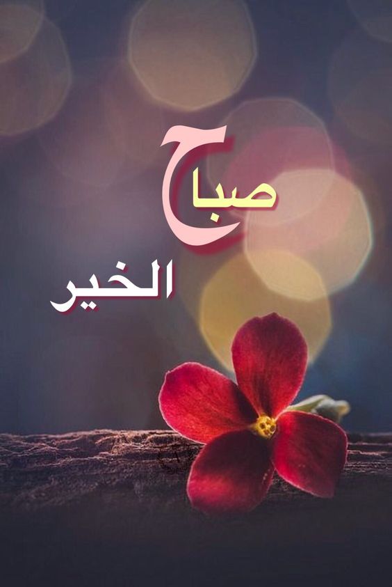 كلام جميل الصباح - صور صباحيه للفيس بوك 2838 5