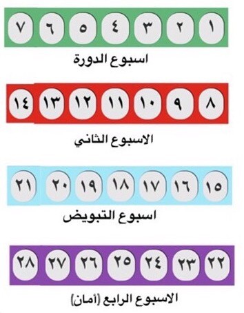 متى يتم الحمل بعد الدورة الشهرية - ما هى الايام المناسبة للتبويض - 1513 2