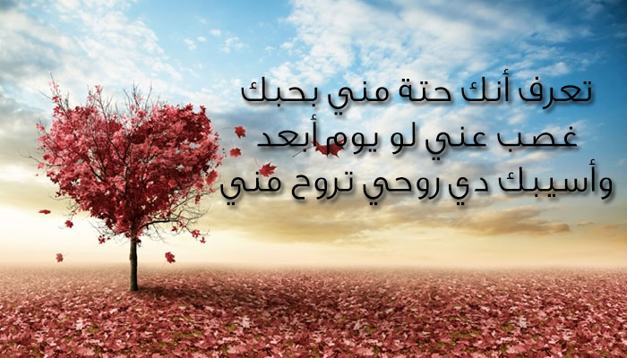 اقوى رسالة حب - اجمل مسجات حب للفيس بوك 2773 2