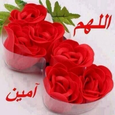 صور اللهم امين،رمزيات و خواطر دينيه 3239