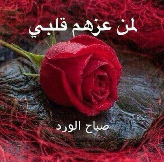 صور صباح الخير رومنسيه - رمزيات تحيات صباحيه 3909 3