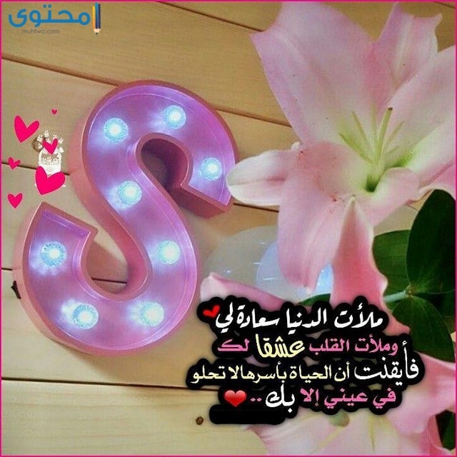 احلى صور حرف s , صور مذهلة عليها حرف S