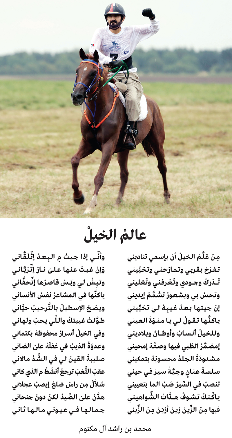 شعر عن الخيل - اروع القصايد الشعريه عن الخيل 4326 2