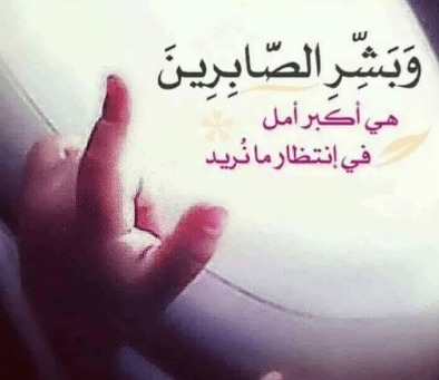 اجدد حالات واتس اب 2019- حاله واتس مميزه 1488