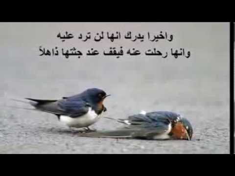 اكثر الصور حزنا , رمزيات كئيبه و حزينه للفيس بوك