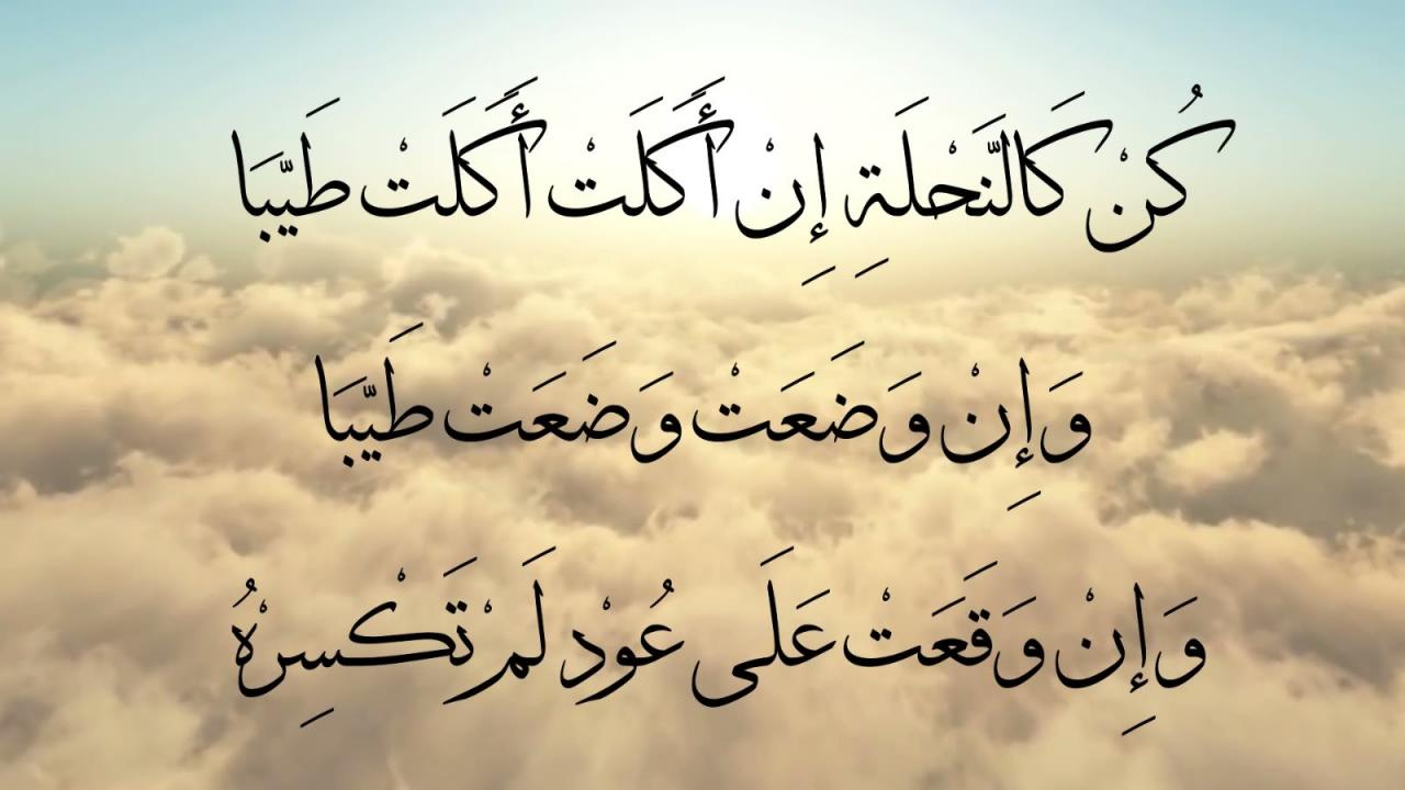 كلمات معبرة عن الحياة والامل - الامل وكيفيه اكتسابه من كلمات 6121 9