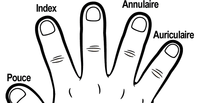اسماء اصابع اليد بالعربية - اسماء و ترتيب الاصابع 2976 2