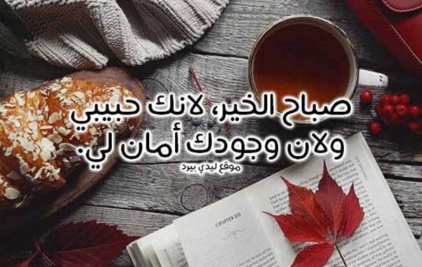 صباح الخير حبيبي 816 6