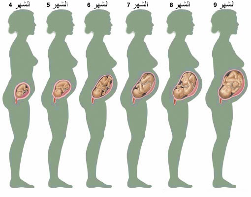 الحامل في الشهر الرابع - اعراض الحمل في الشهر الرابع 3027 2