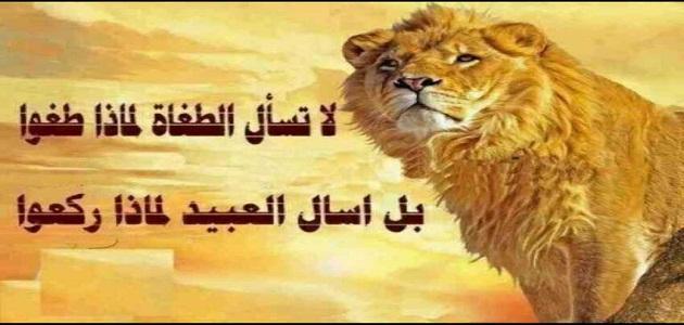 صور وكلام رائع , اجمل الحكم