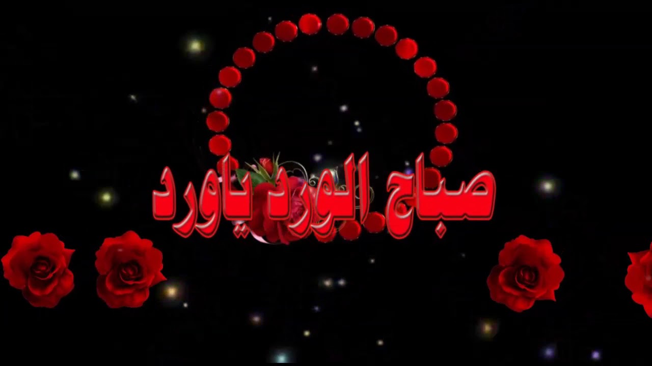 صباح الخير ياورد - خير الصباح مع الورود 5740 8